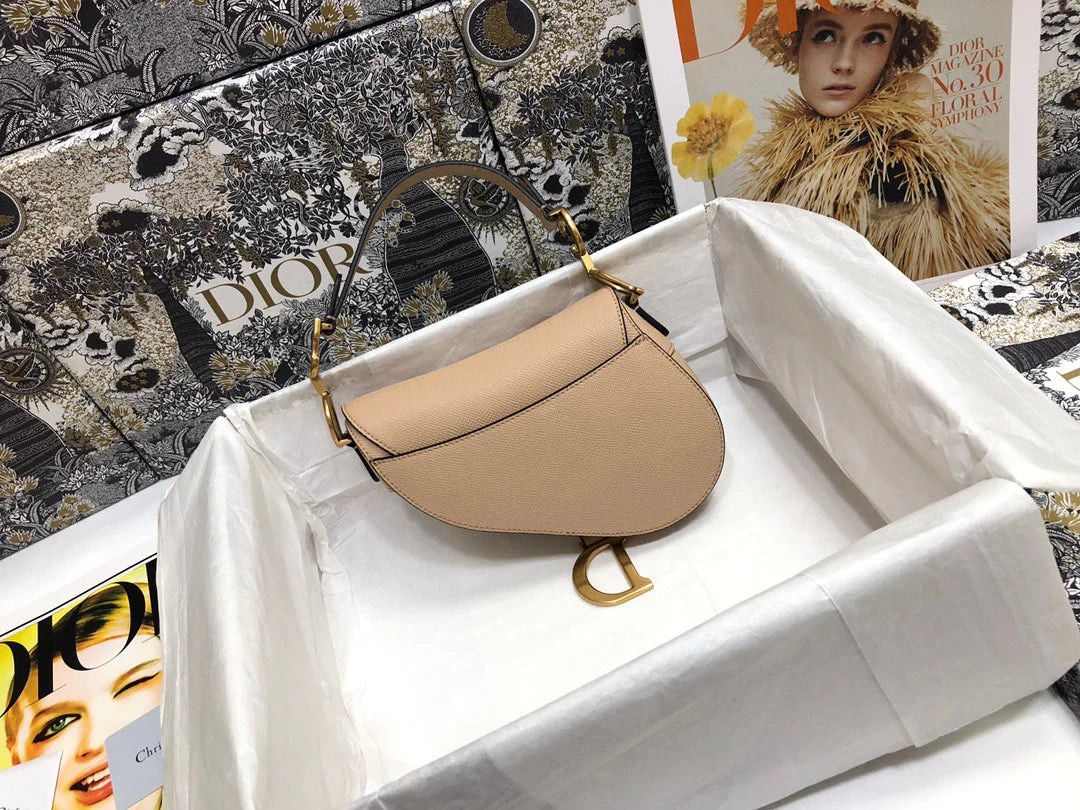 Dior Saddle Small Nude Color 21x18x5 cm