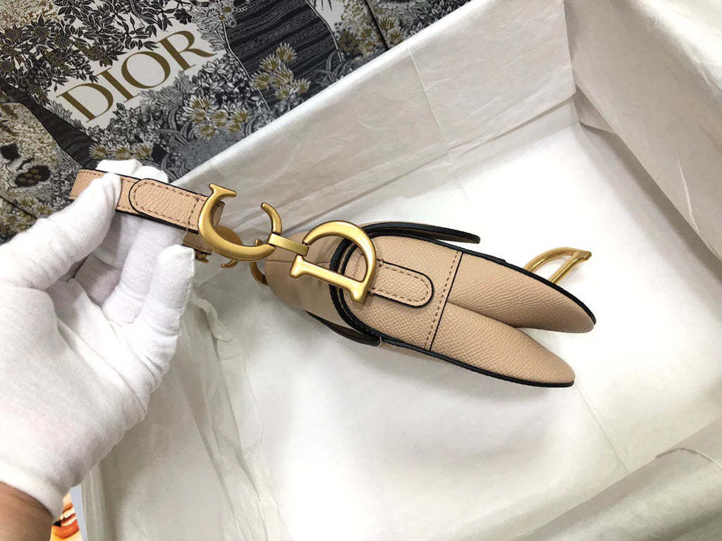 Dior Saddle Small Nude Color 21x18x5 cm