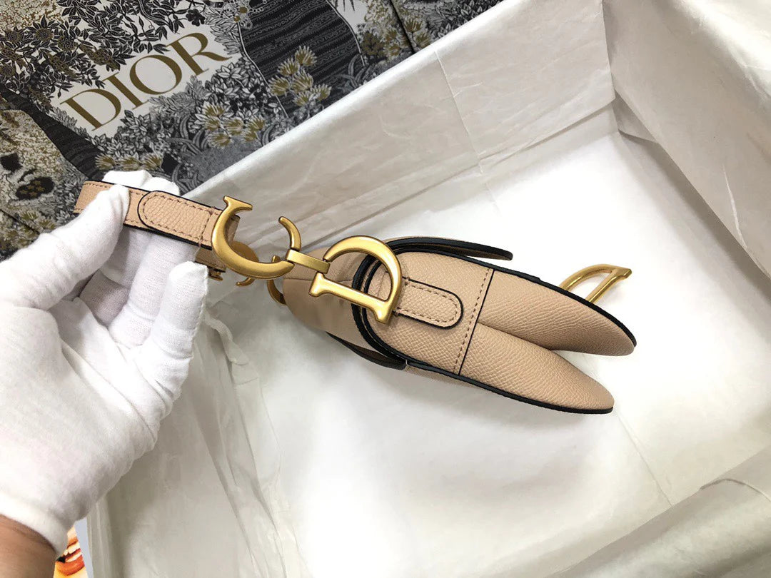 Dior Saddle Small Nude Color 21x18x5 cm